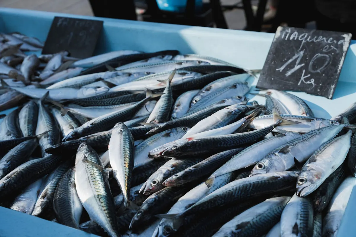 Sustainable Seafood in the UK: A Beginner's Guide to Ratings and Seasonal Choices
